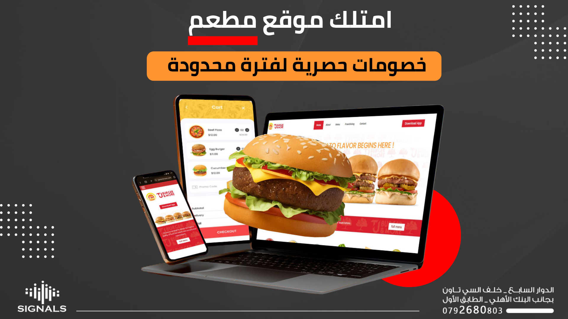 تصميم المواقع الإلكترونية | Signals Electronics 68